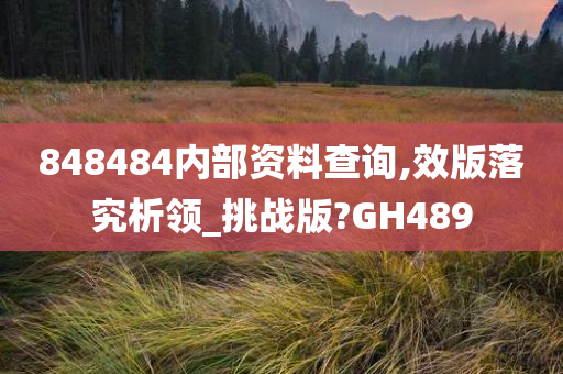 848484内部资料查询,效版落究析领_挑战版?GH489