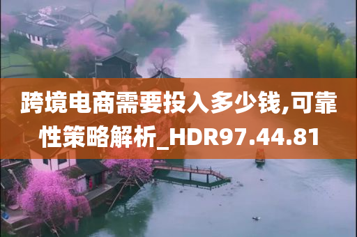 跨境电商需要投入多少钱,可靠性策略解析_HDR97.44.81