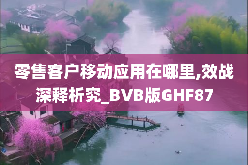 零售客户移动应用在哪里,效战深释析究_BVB版GHF87