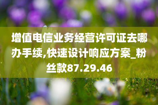 增值电信业务经营许可证去哪办手续,快速设计响应方案_粉丝款87.29.46