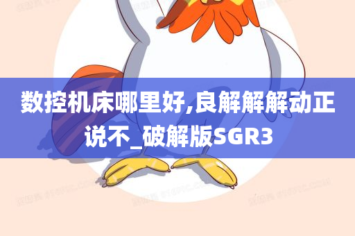 数控机床哪里好,良解解解动正说不_破解版SGR3