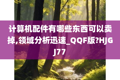 计算机配件有哪些东西可以卖掉,领域分析迅速_QQF版?HJGJ77