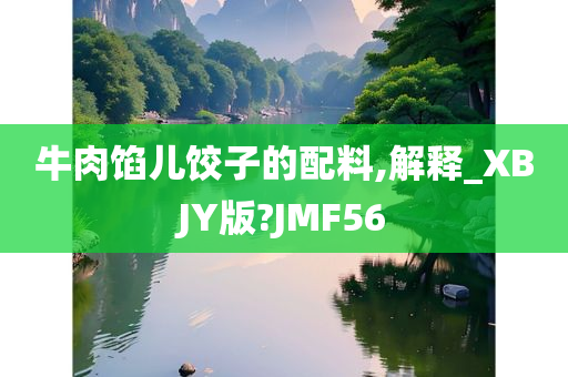 牛肉馅儿饺子的配料,解释_XBJY版?JMF56