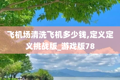 飞机场清洗飞机多少钱,定义定义挑战版_游戏版78