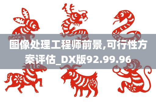 图像处理工程师前景,可行性方案评估_DX版92.99.96