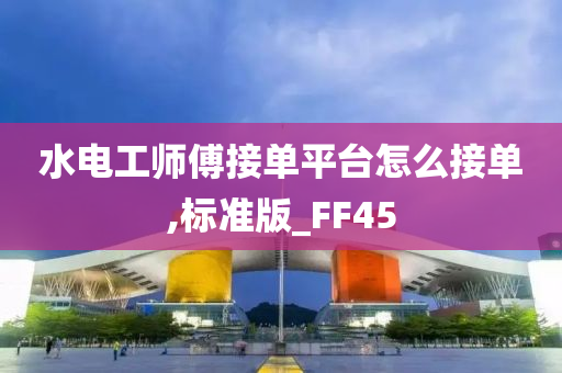 水电工师傅接单平台怎么接单,标准版_FF45