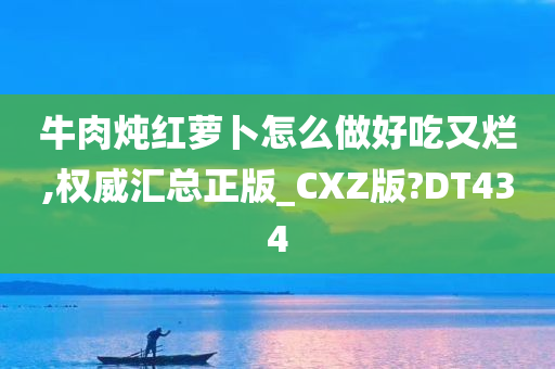 牛肉炖红萝卜怎么做好吃又烂,权威汇总正版_CXZ版?DT434