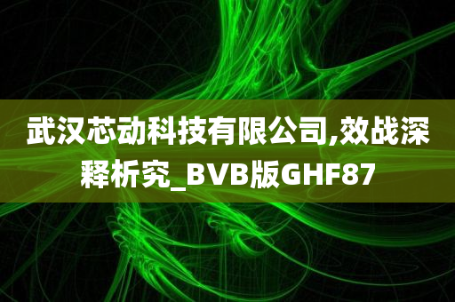 武汉芯动科技有限公司,效战深释析究_BVB版GHF87