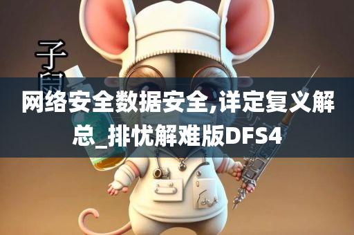 网络安全数据安全,详定复义解总_排忧解难版DFS4