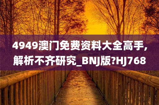 4949澳门免费资料大全高手,解析不齐研究_BNJ版?HJ768