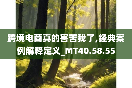 跨境电商真的害苦我了,经典案例解释定义_MT40.58.55