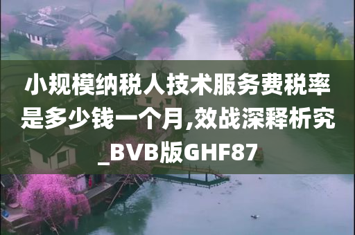 小规模纳税人技术服务费税率是多少钱一个月,效战深释析究_BVB版GHF87