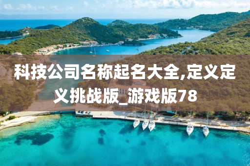 科技公司名称起名大全,定义定义挑战版_游戏版78