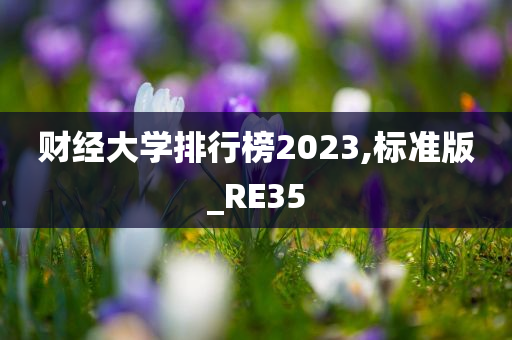 财经大学排行榜2023,标准版_RE35