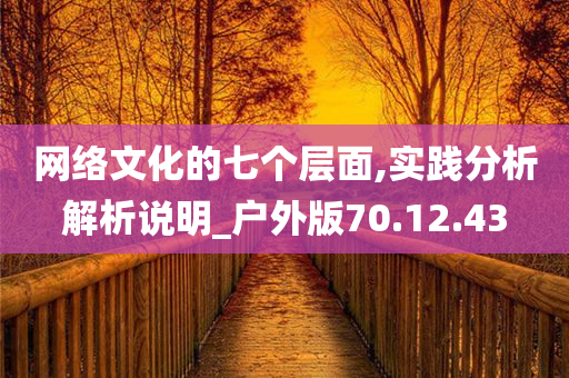 网络文化的七个层面,实践分析解析说明_户外版70.12.43