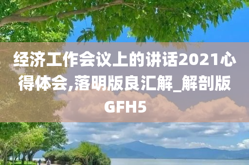 经济工作会议上的讲话2021心得体会,落明版良汇解_解剖版GFH5