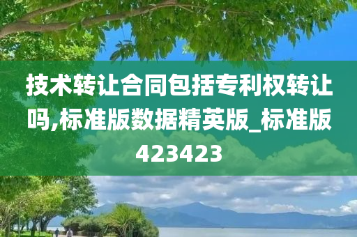 技术转让合同包括专利权转让吗,标准版数据精英版_标准版423423