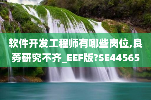 软件开发工程师有哪些岗位,良莠研究不齐_EEF版?SE44565