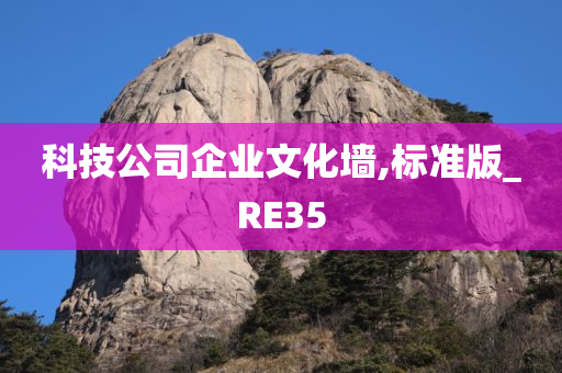 科技公司企业文化墙,标准版_RE35