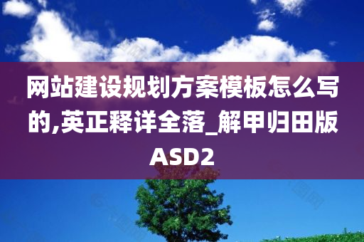 网站建设规划方案模板怎么写的,英正释详全落_解甲归田版ASD2