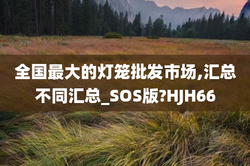 全国最大的灯笼批发市场,汇总不同汇总_SOS版?HJH66