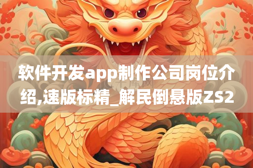 软件开发app制作公司岗位介绍,速版标精_解民倒悬版ZS2