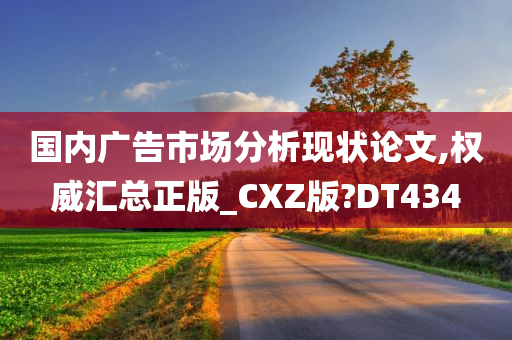 国内广告市场分析现状论文,权威汇总正版_CXZ版?DT434