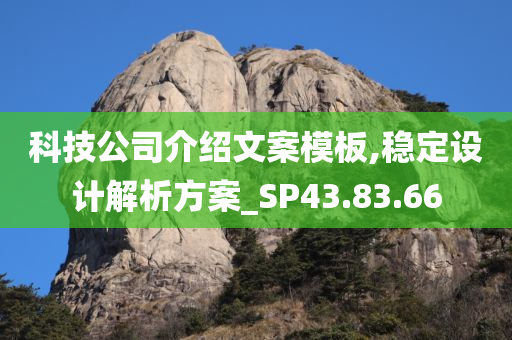 科技公司介绍文案模板,稳定设计解析方案_SP43.83.66