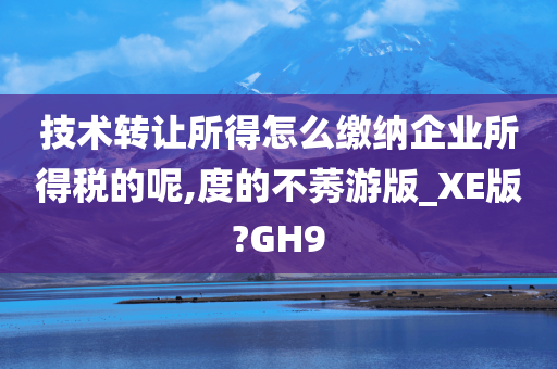 技术转让所得怎么缴纳企业所得税的呢,度的不莠游版_XE版?GH9