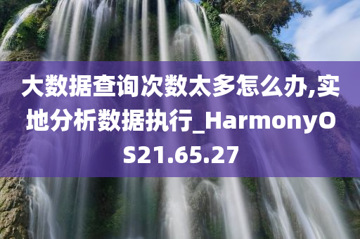 大数据查询次数太多怎么办,实地分析数据执行_HarmonyOS21.65.27