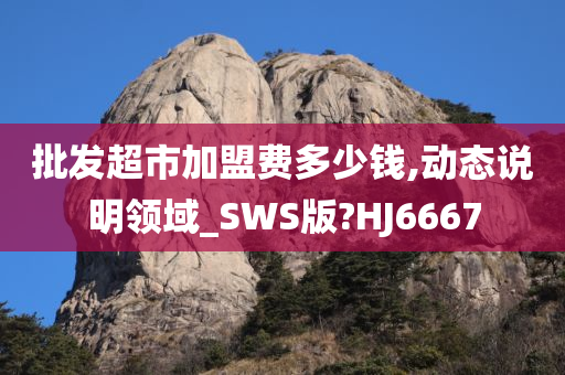 批发超市加盟费多少钱,动态说明领域_SWS版?HJ6667