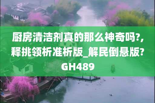 厨房清洁剂真的那么神奇吗?,释挑领析准析版_解民倒悬版?GH489