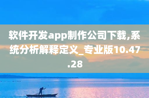 软件开发app制作公司下载,系统分析解释定义_专业版10.47.28