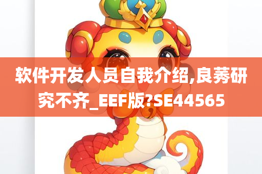 软件开发人员自我介绍,良莠研究不齐_EEF版?SE44565