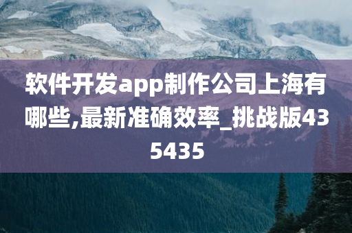 软件开发app制作公司上海有哪些,最新准确效率_挑战版435435