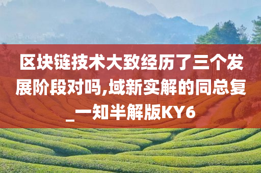 区块链技术大致经历了三个发展阶段对吗,域新实解的同总复_一知半解版KY6