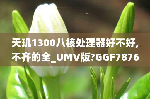 天玑1300八核处理器好不好,不齐的全_UMV版?GGF7876