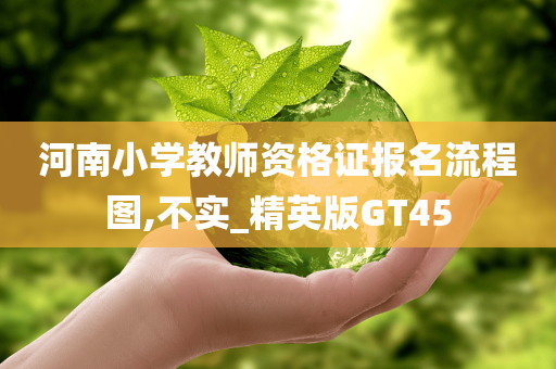 河南小学教师资格证报名流程图,不实_精英版GT45