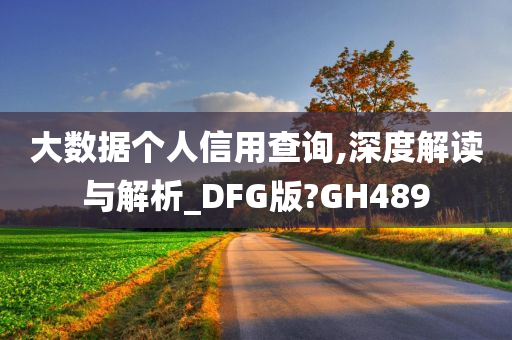 大数据个人信用查询,深度解读与解析_DFG版?GH489