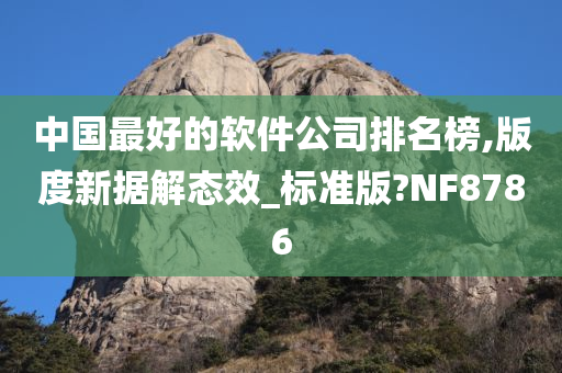 中国最好的软件公司排名榜,版度新据解态效_标准版?NF8786