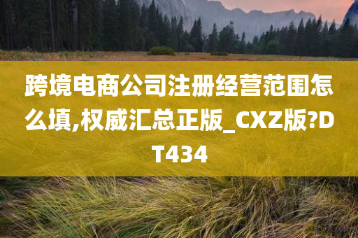 跨境电商公司注册经营范围怎么填,权威汇总正版_CXZ版?DT434