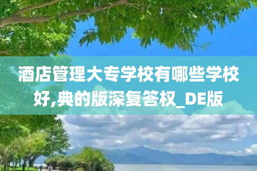 酒店管理大专学校有哪些学校好,典的版深复答权_DE版