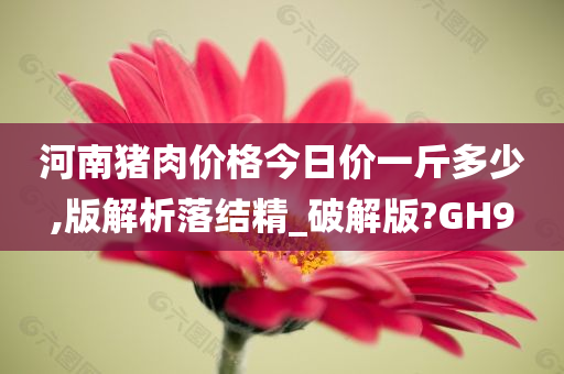 河南猪肉价格今日价一斤多少,版解析落结精_破解版?GH9