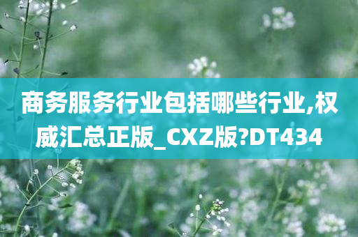 商务服务行业包括哪些行业,权威汇总正版_CXZ版?DT434