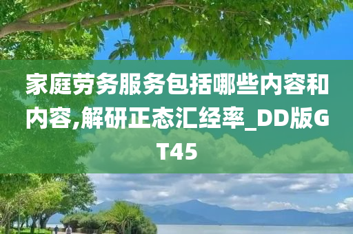 家庭劳务服务包括哪些内容和内容,解研正态汇经率_DD版GT45