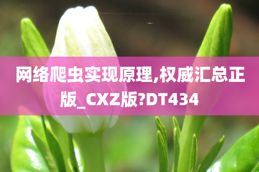 网络爬虫实现原理,权威汇总正版_CXZ版?DT434