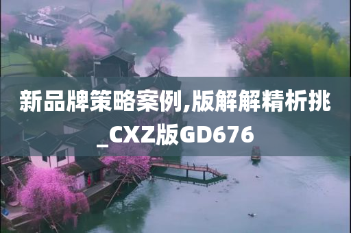 新品牌策略案例,版解解精析挑_CXZ版GD676