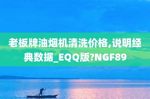 老板牌油烟机清洗价格,说明经典数据_EQQ版?NGF89