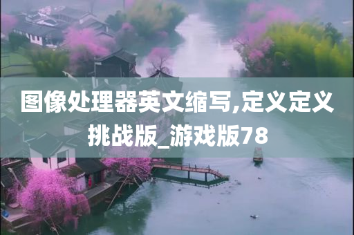 图像处理器英文缩写,定义定义挑战版_游戏版78