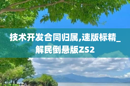 技术开发合同归属,速版标精_解民倒悬版ZS2